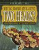Why_do_thorny_devils_have_two_heads_